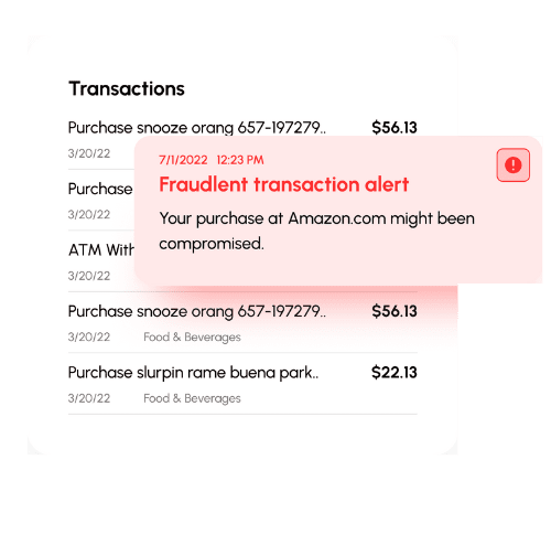 transaction alerts with Viably