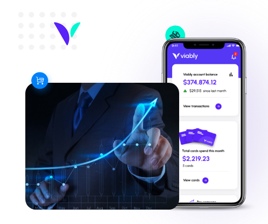 Financial Visibility and Insights