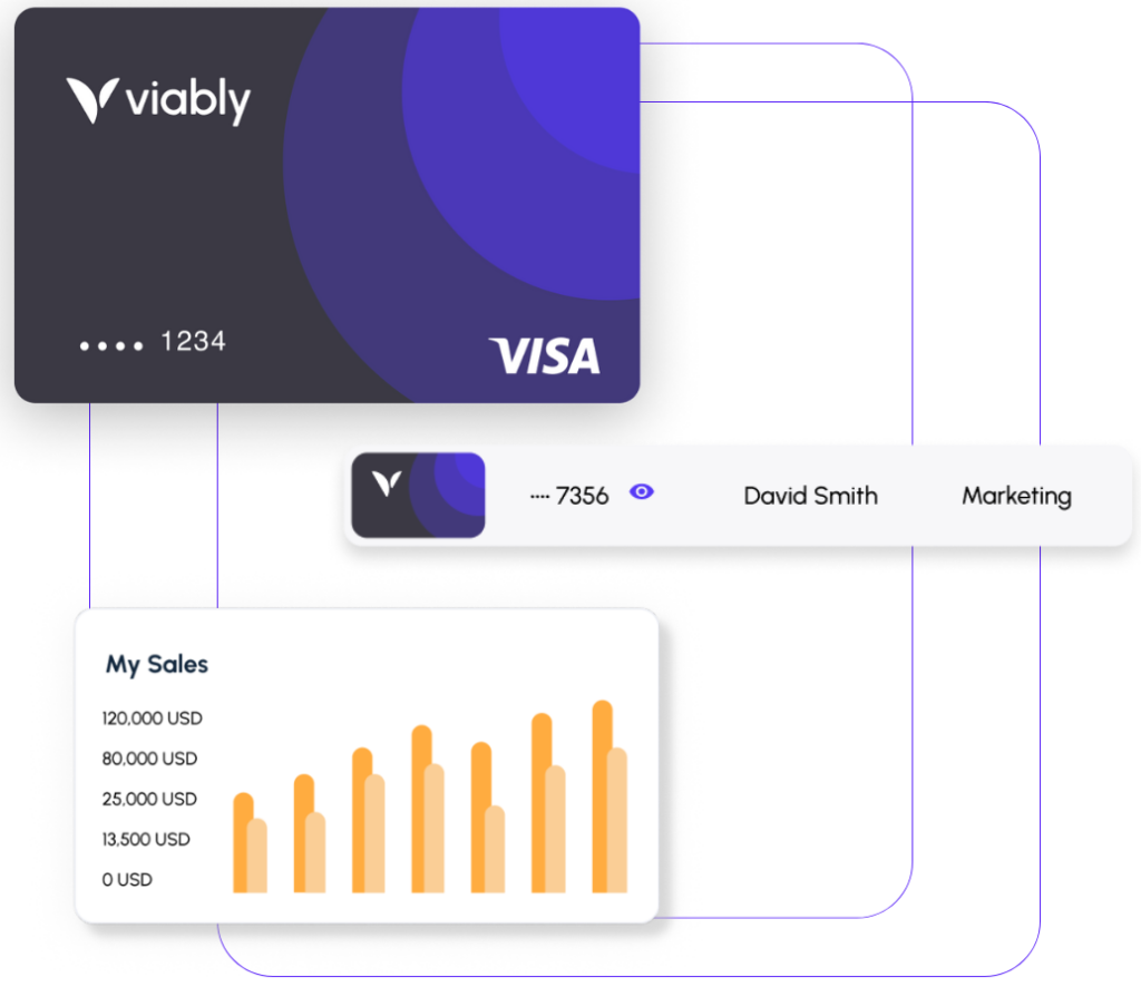 Viably pricing - Global Accounts